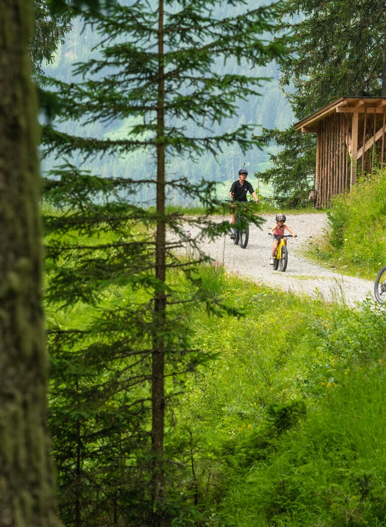 Familie mit Kindern fährt mit Mountainbikes auf schmalem Schotterweg durch grünen Wald am Berg bei sommerlichem Wetter. | © SHUTTLEBERG GmbH & Co KG
